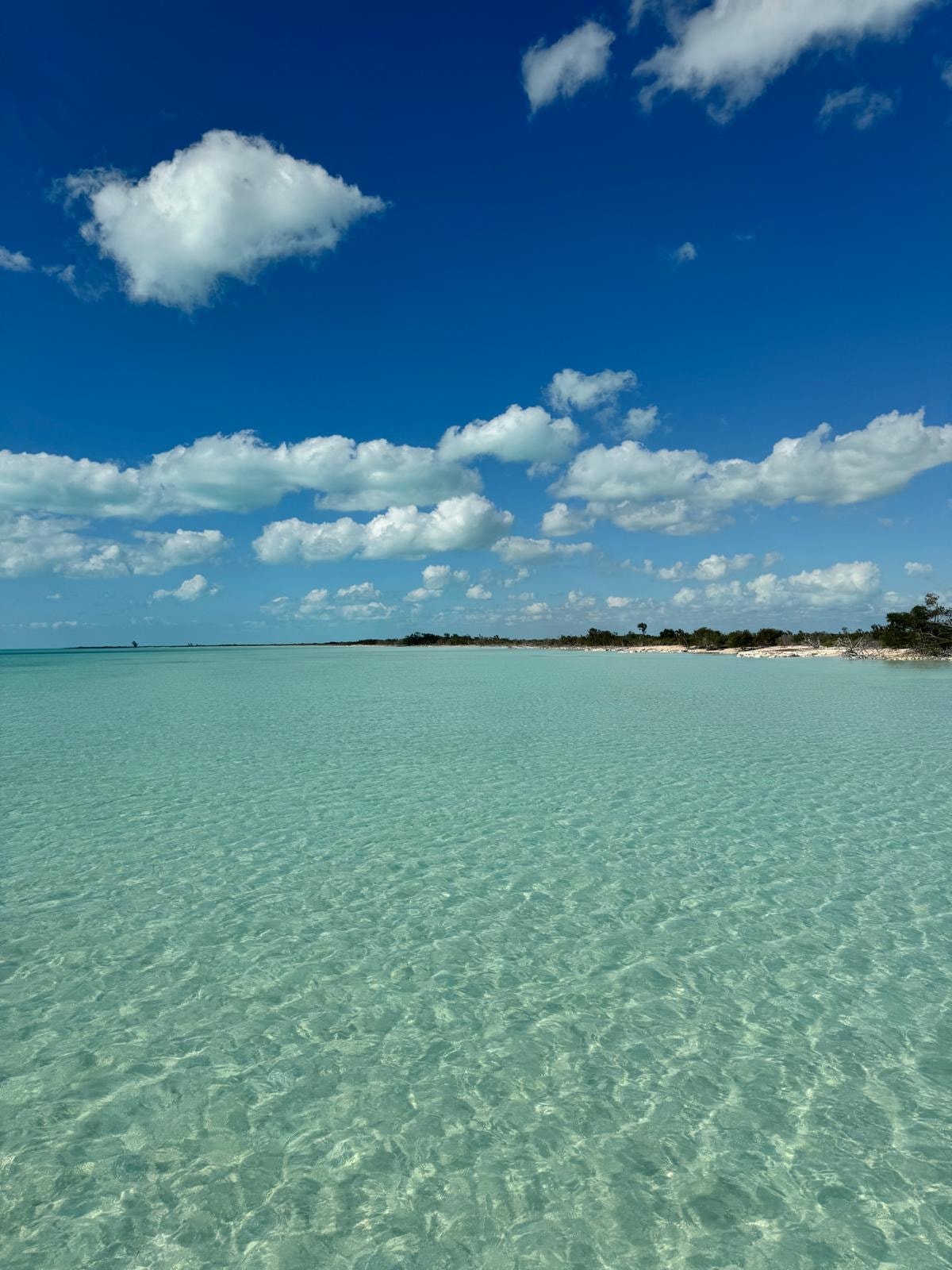 Crystal clear turquoise shallows Andros Bahamas blue sky